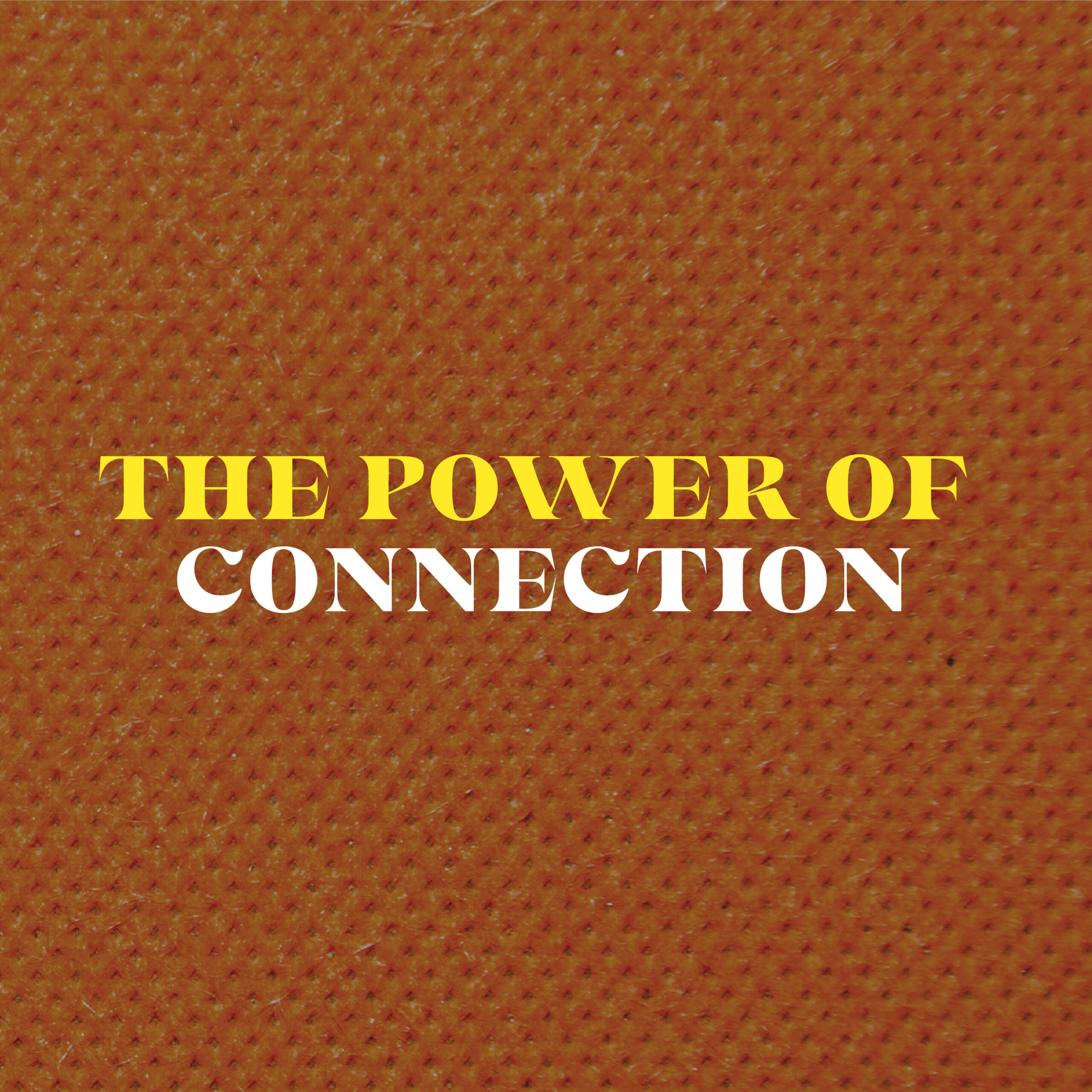 cover of episode The Power of Connection