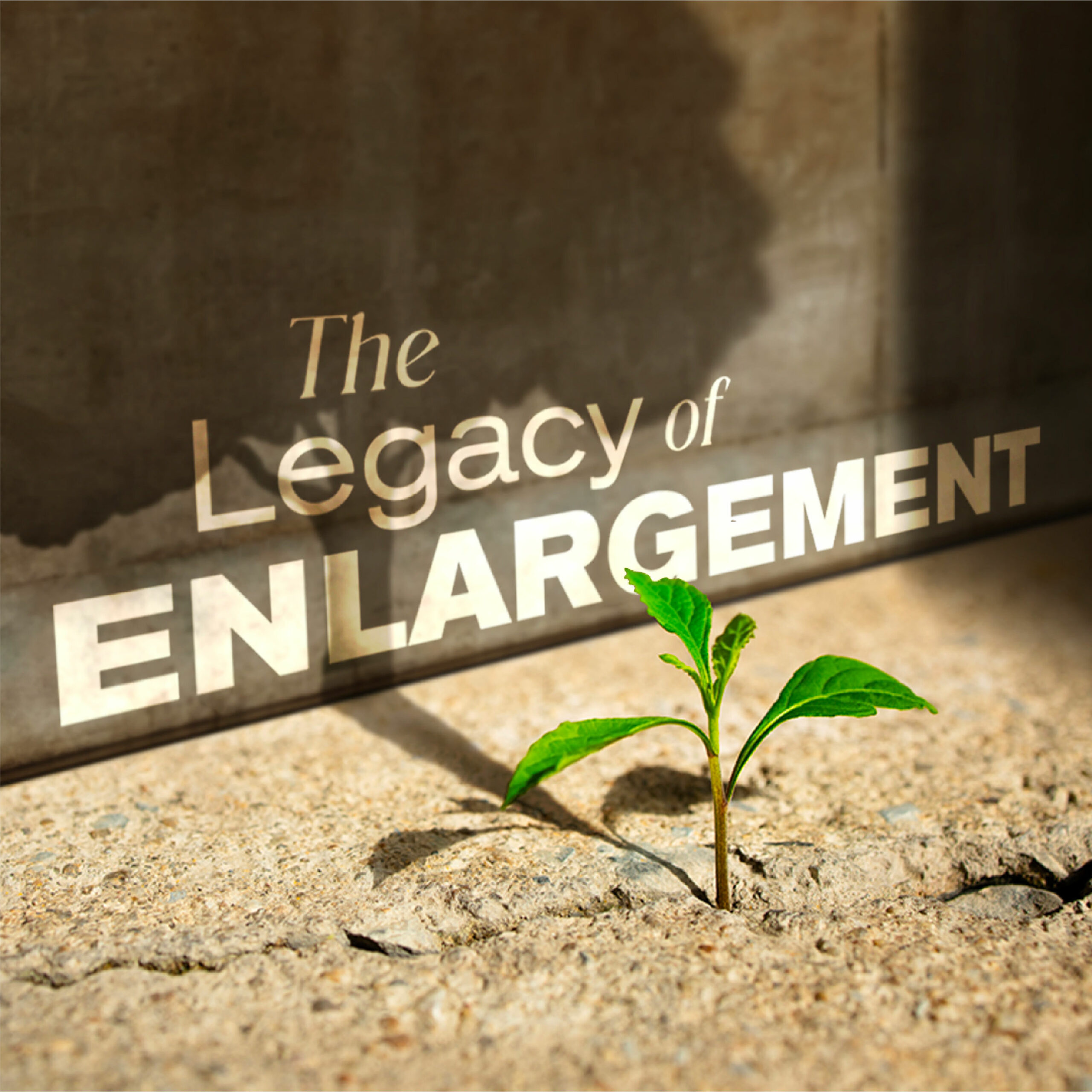 cover of episode The Legacy of Enlargement