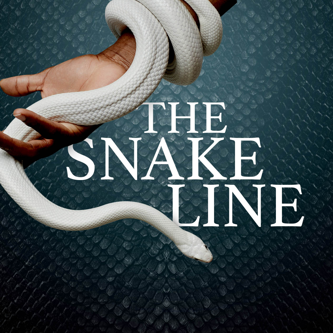 cover of episode The Snake Line