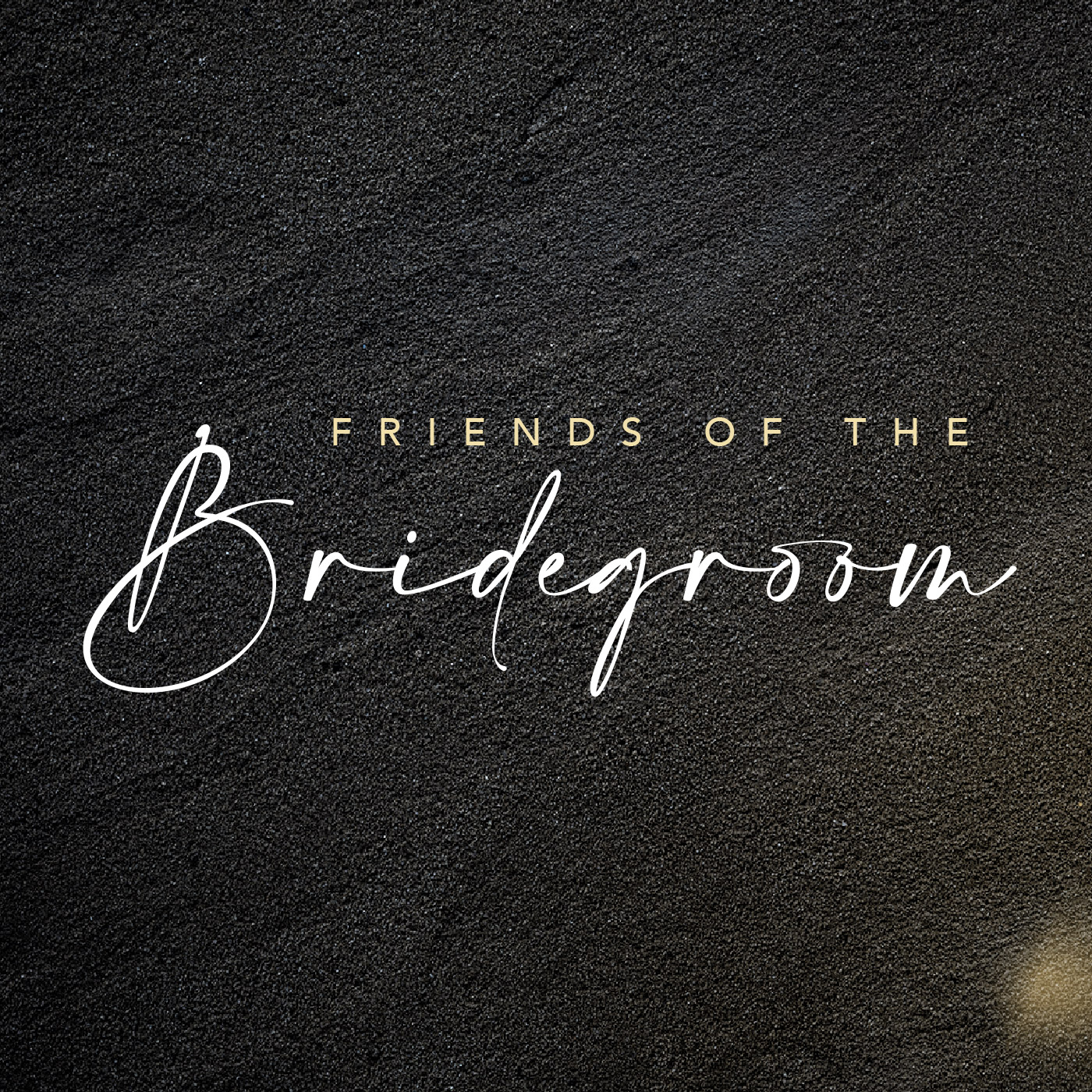 cover of episode Friends of the Bridegroom