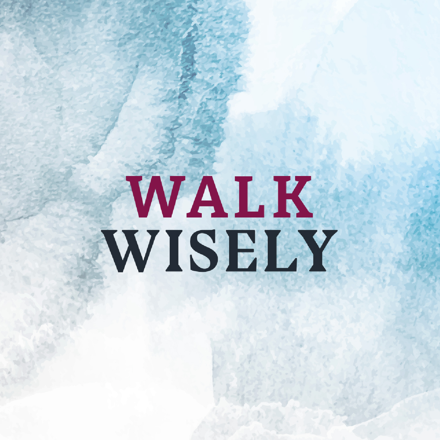 cover of episode Walk Wisely